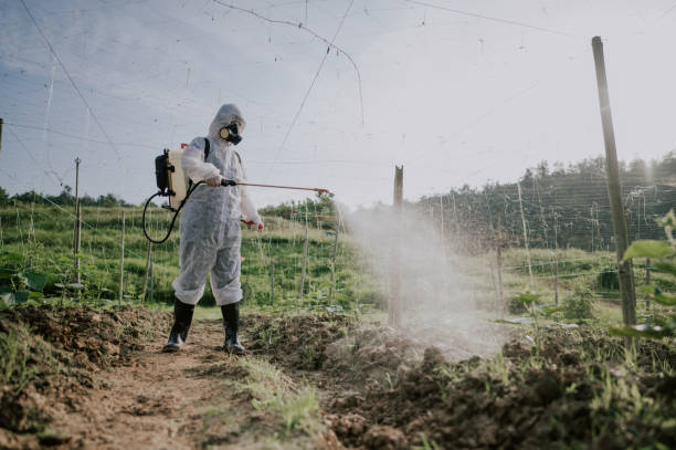 Best Pest Removal Services  in Dover, NH