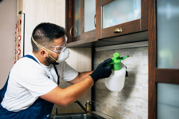 Best Wildlife Control Services  in Dover, NH