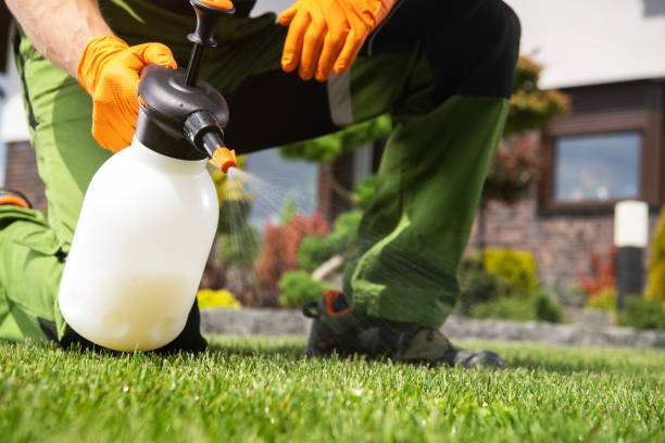 Best Mosquito Control Services  in Dover, NH