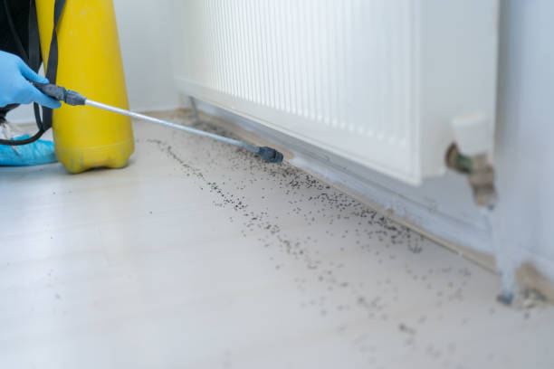 Best Commercial Pest Control Services  in Dover, NH