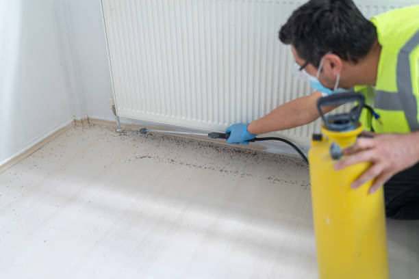Best Best Pest Control Companies  in Dover, NH